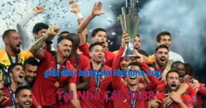 Đôi nét về giải đấu bóng đá Nations Cup 