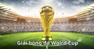 Giải bóng đá World Cup