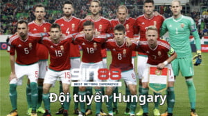 Thông tin chi tiết về đội tuyển Hungary 