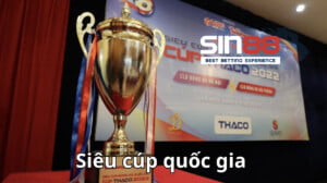 Siêu cúp quốc gia là gì? Là fan bóng đá Việt Nam cần phải biết đến