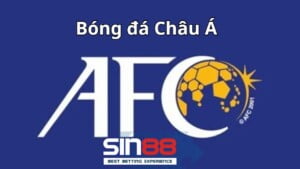 Tổng quan về bóng đá Châu Á