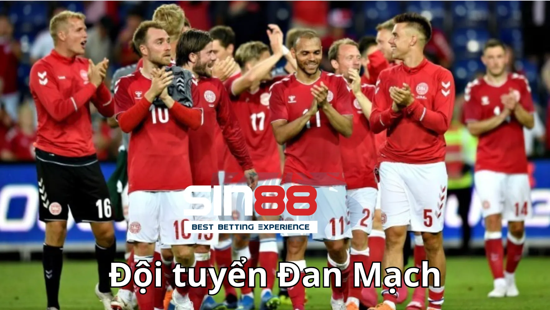 Phân tích về đội hình Đan Mạch Euro 2024 