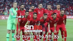 Lịch sử thi đấu của tuyển Thổ Nhĩ Kỳ