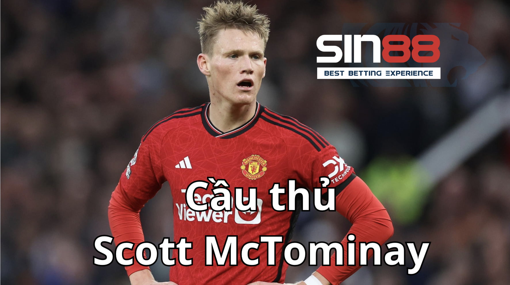 Scott McTominay có 7 bàn thắng tại vòng loại Euro 2024